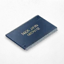 IC Chip