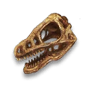 Dinosaur Fossil