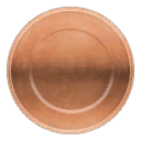 Bronze Plate
