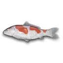 Nishiki Carp