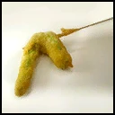 Asparagus