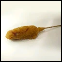 Garlic Chicken