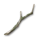 Yew Branch