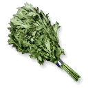 Wormwood