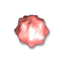 Konpeito